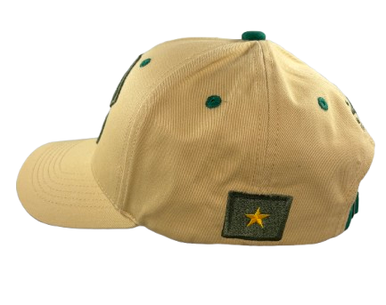 Social Media Force - Dad's Cap